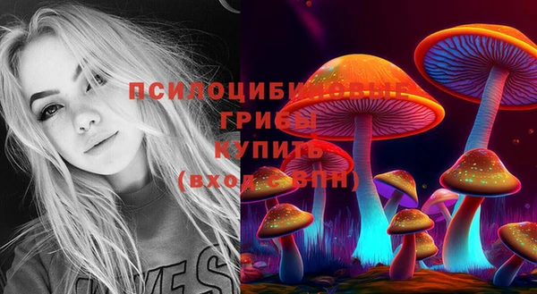 трава Елизово