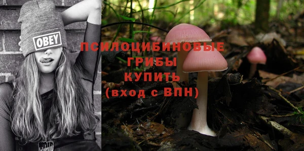 герыч Елабуга