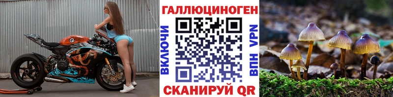 закладка  Саранск  OMG ссылка  сайты даркнета как зайти  Галлюциногенные грибы Magic Shrooms 